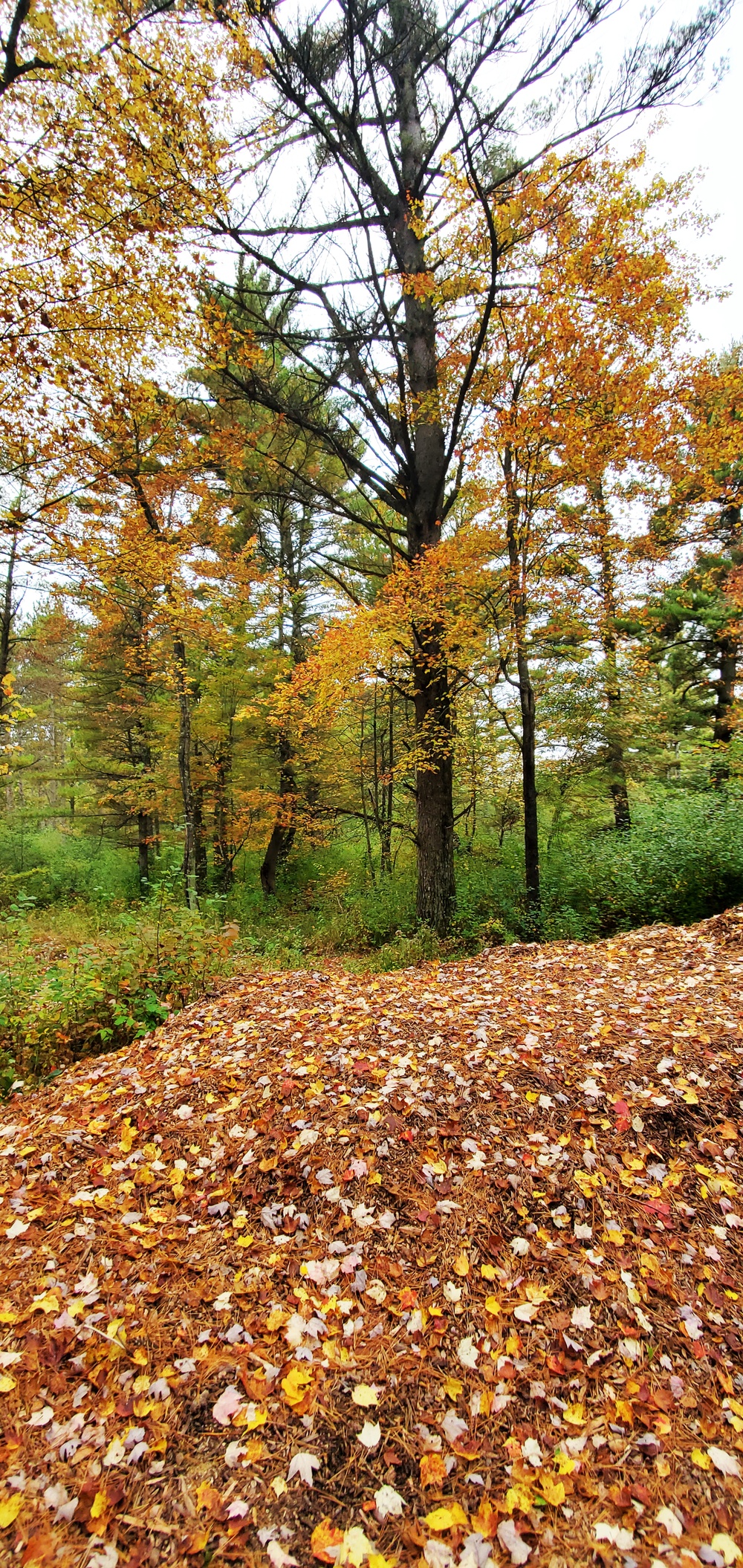 2020 Fall Views at Fort McCoy's Pine View Recreation Area
