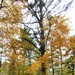 2020 Fall Views at Fort McCoy's Pine View Recreation Area