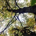 2020 Fall Views at Fort McCoy's Pine View Recreation Area