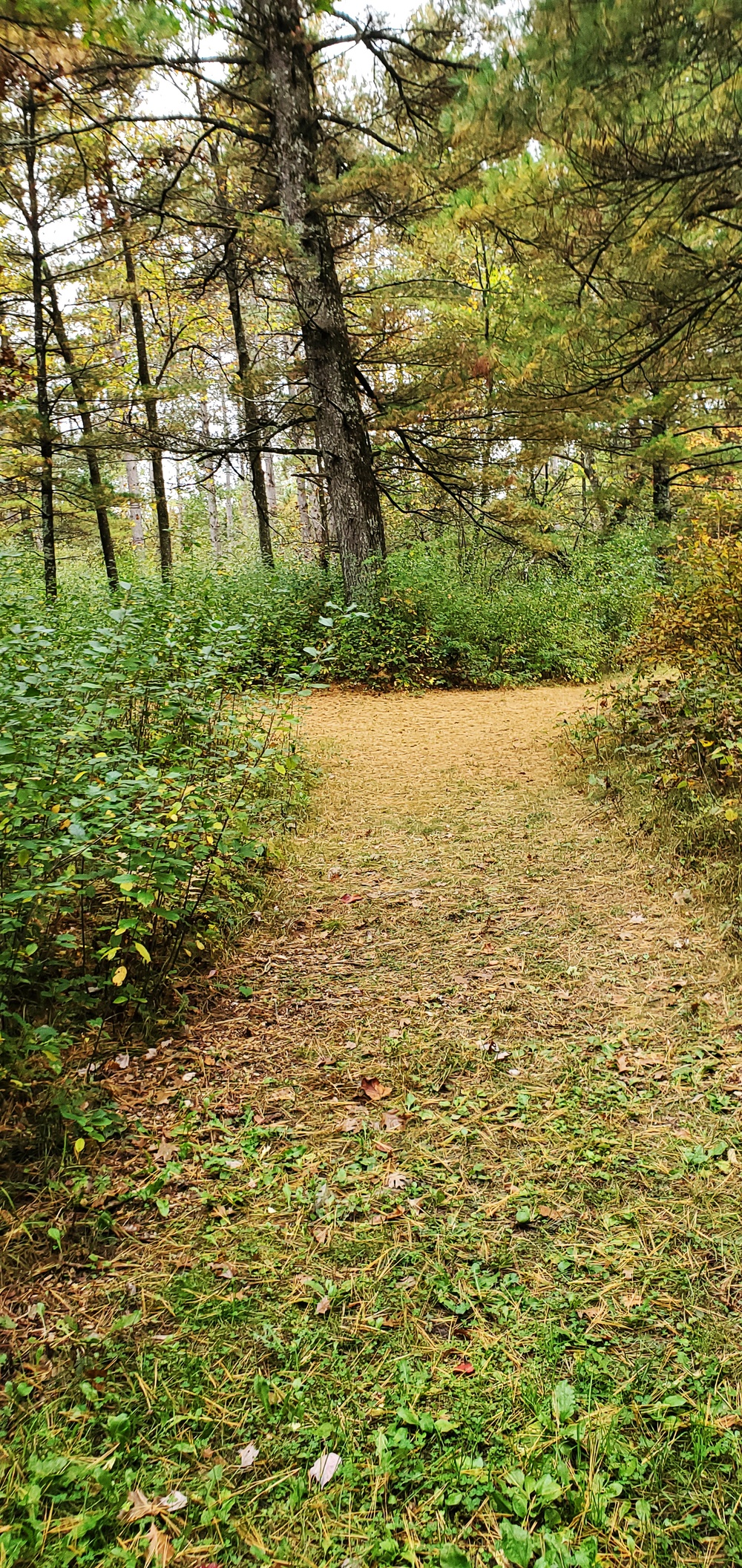 2020 Fall Views at Fort McCoy's Pine View Recreation Area