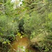 2020 Fall Views at Fort McCoy's Pine View Recreation Area