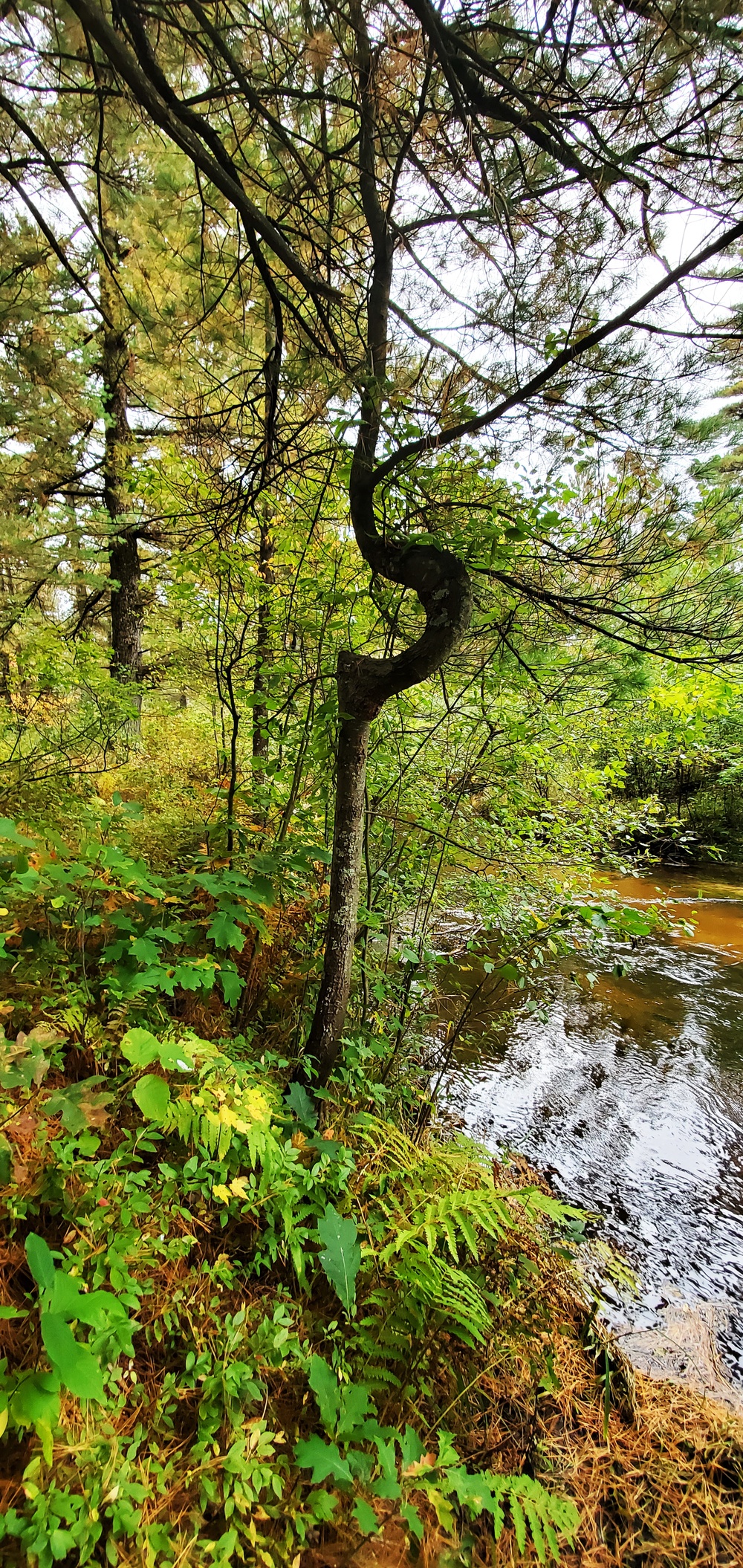 2020 Fall Views at Fort McCoy's Pine View Recreation Area