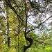 2020 Fall Views at Fort McCoy's Pine View Recreation Area