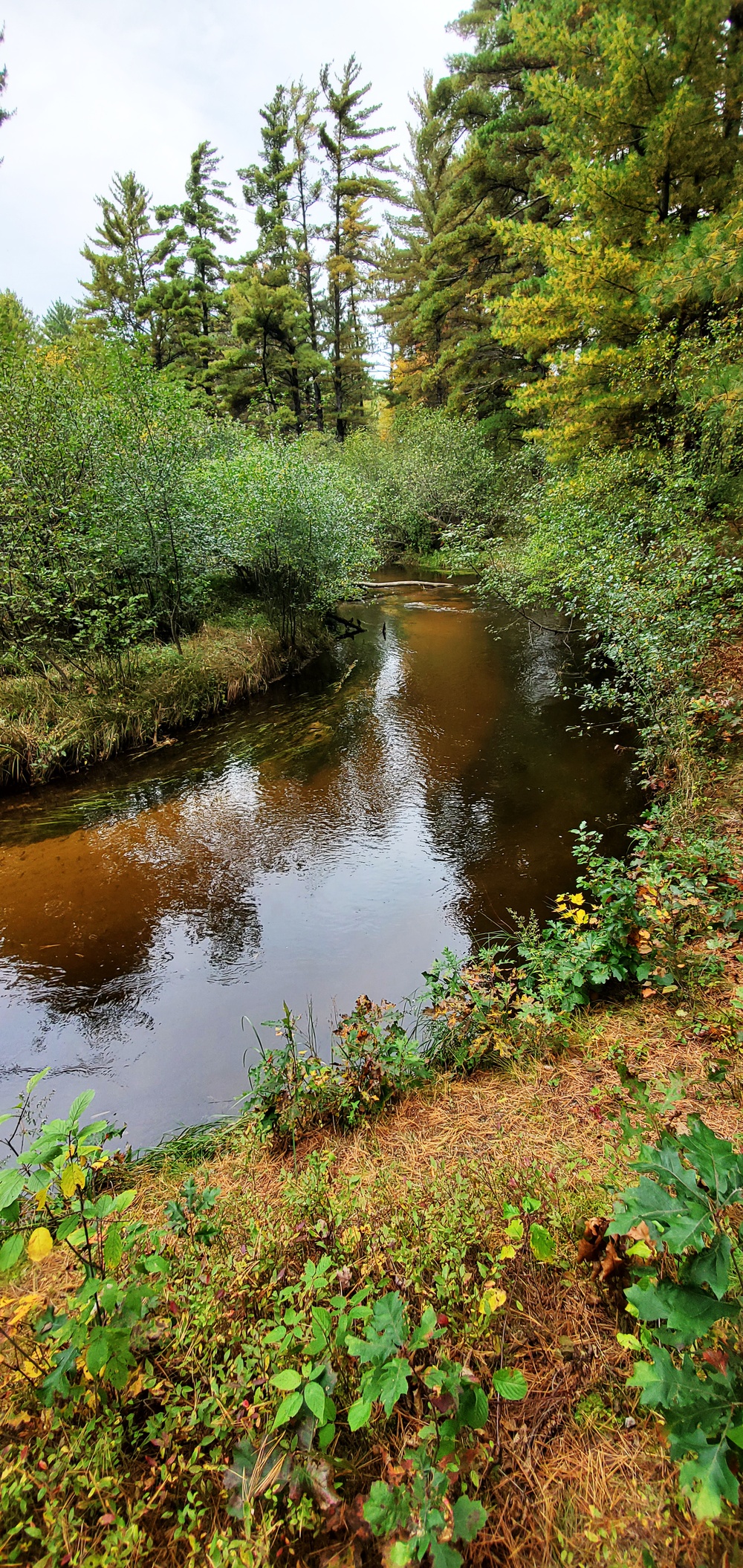 2020 Fall Views at Fort McCoy's Pine View Recreation Area