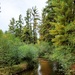 2020 Fall Views at Fort McCoy's Pine View Recreation Area