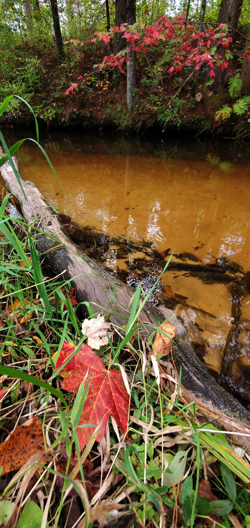 2020 Fall Views at Fort McCoy's Pine View Recreation Area