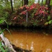 2020 Fall Views at Fort McCoy's Pine View Recreation Area
