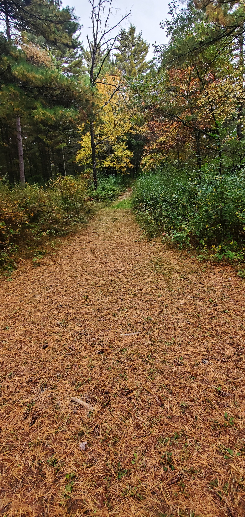 2020 Fall Views at Fort McCoy's Pine View Recreation Area