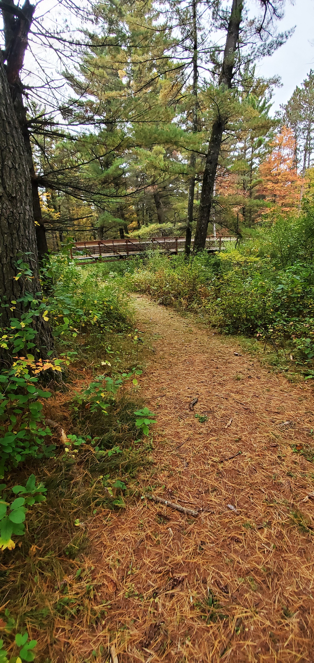 2020 Fall Views at Fort McCoy's Pine View Recreation Area