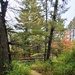2020 Fall Views at Fort McCoy's Pine View Recreation Area