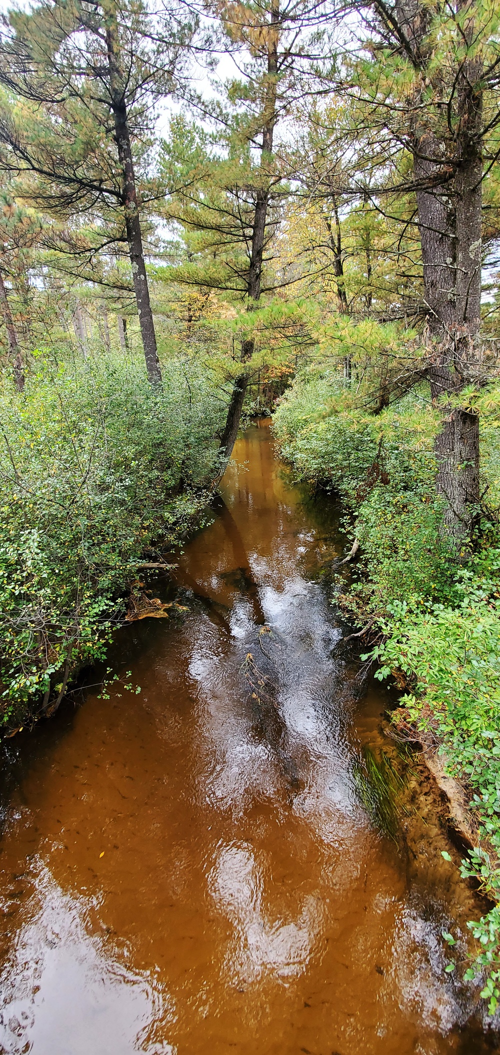 2020 Fall Views at Fort McCoy's Pine View Recreation Area