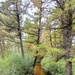 2020 Fall Views at Fort McCoy's Pine View Recreation Area