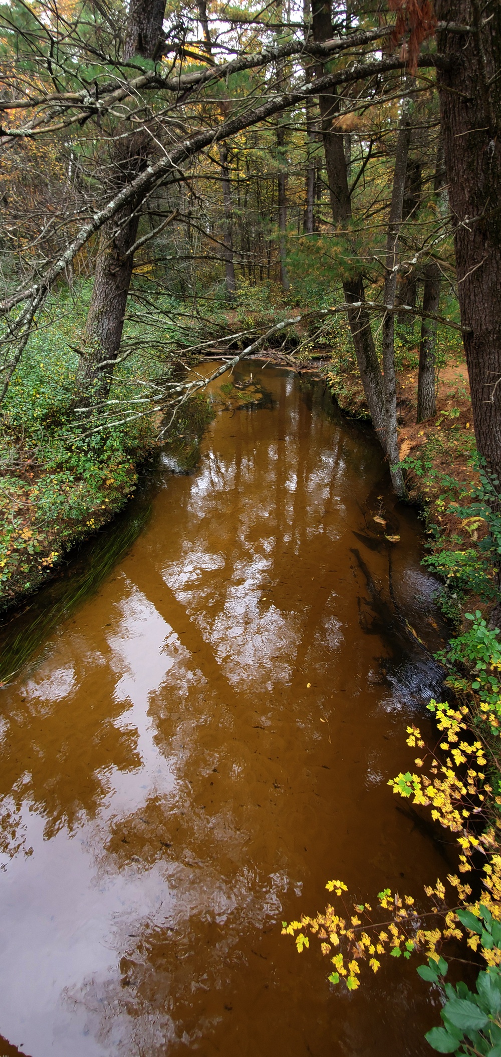 2020 Fall Views at Fort McCoy's Pine View Recreation Area