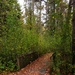 2020 Fall Views at Fort McCoy's Pine View Recreation Area