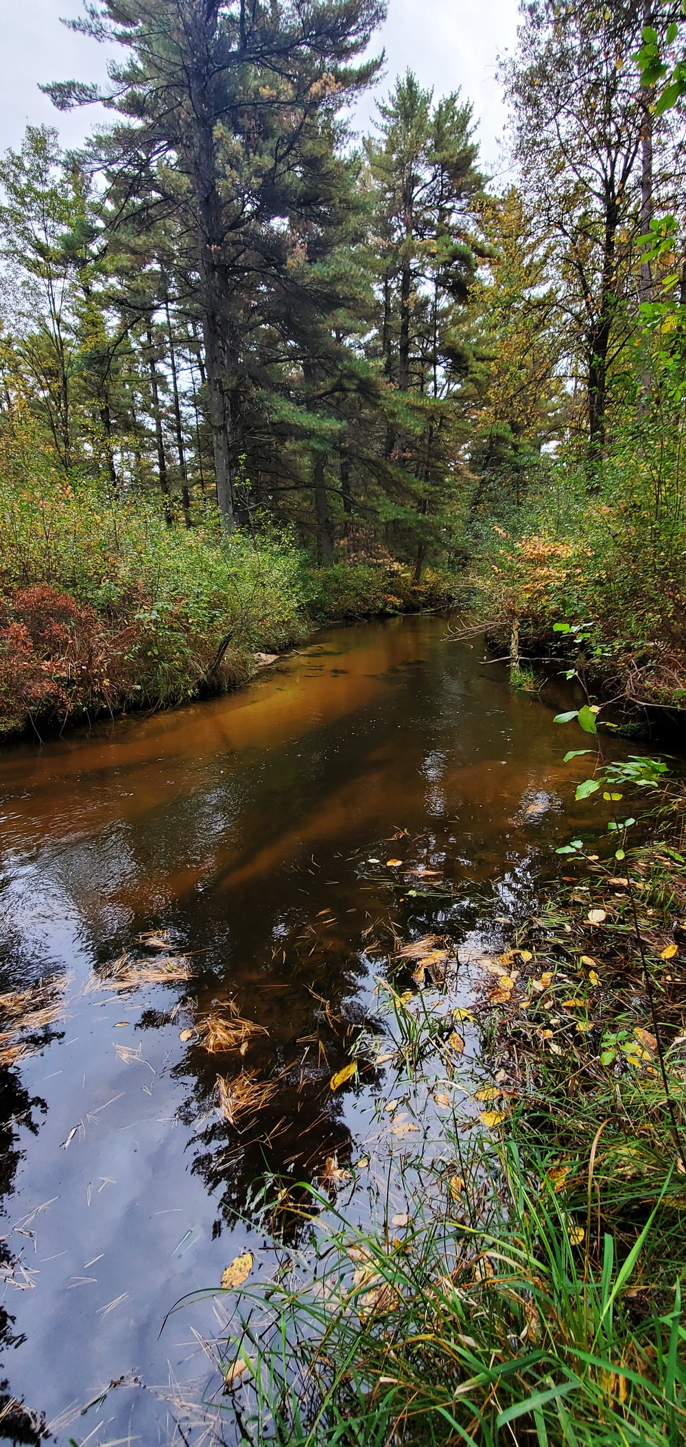 2020 Fall Views at Fort McCoy's Pine View Recreation Area