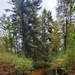 2020 Fall Views at Fort McCoy's Pine View Recreation Area