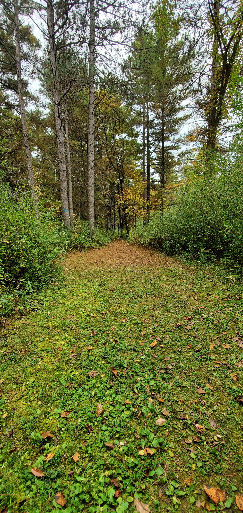 2020 Fall Views at Fort McCoy's Pine View Recreation Area