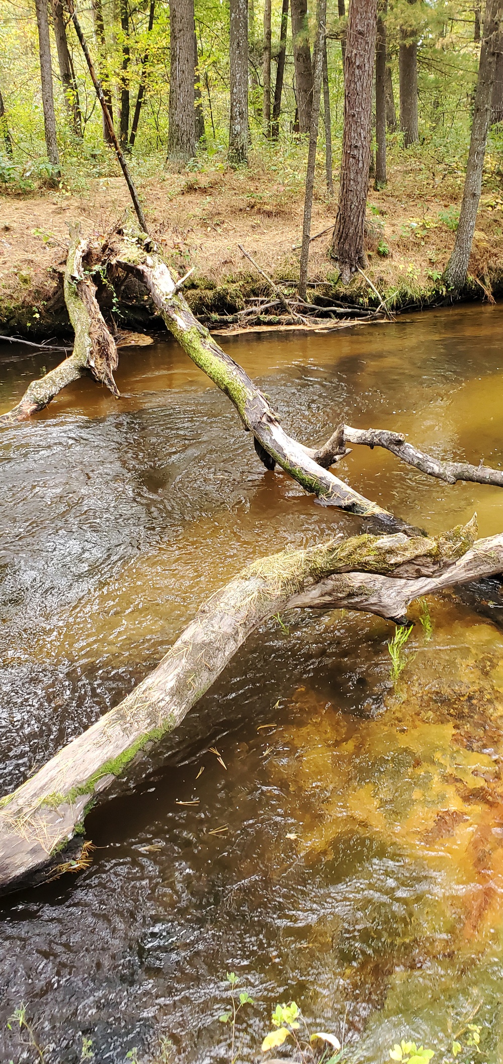 2020 Fall Views at Fort McCoy's Pine View Recreation Area