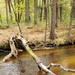 2020 Fall Views at Fort McCoy's Pine View Recreation Area