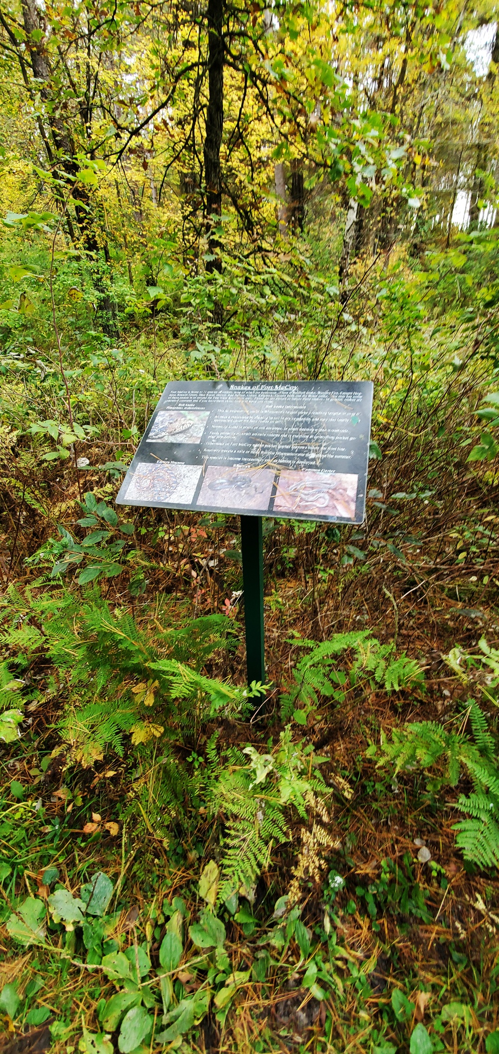 2020 Fall Views at Fort McCoy's Pine View Recreation Area
