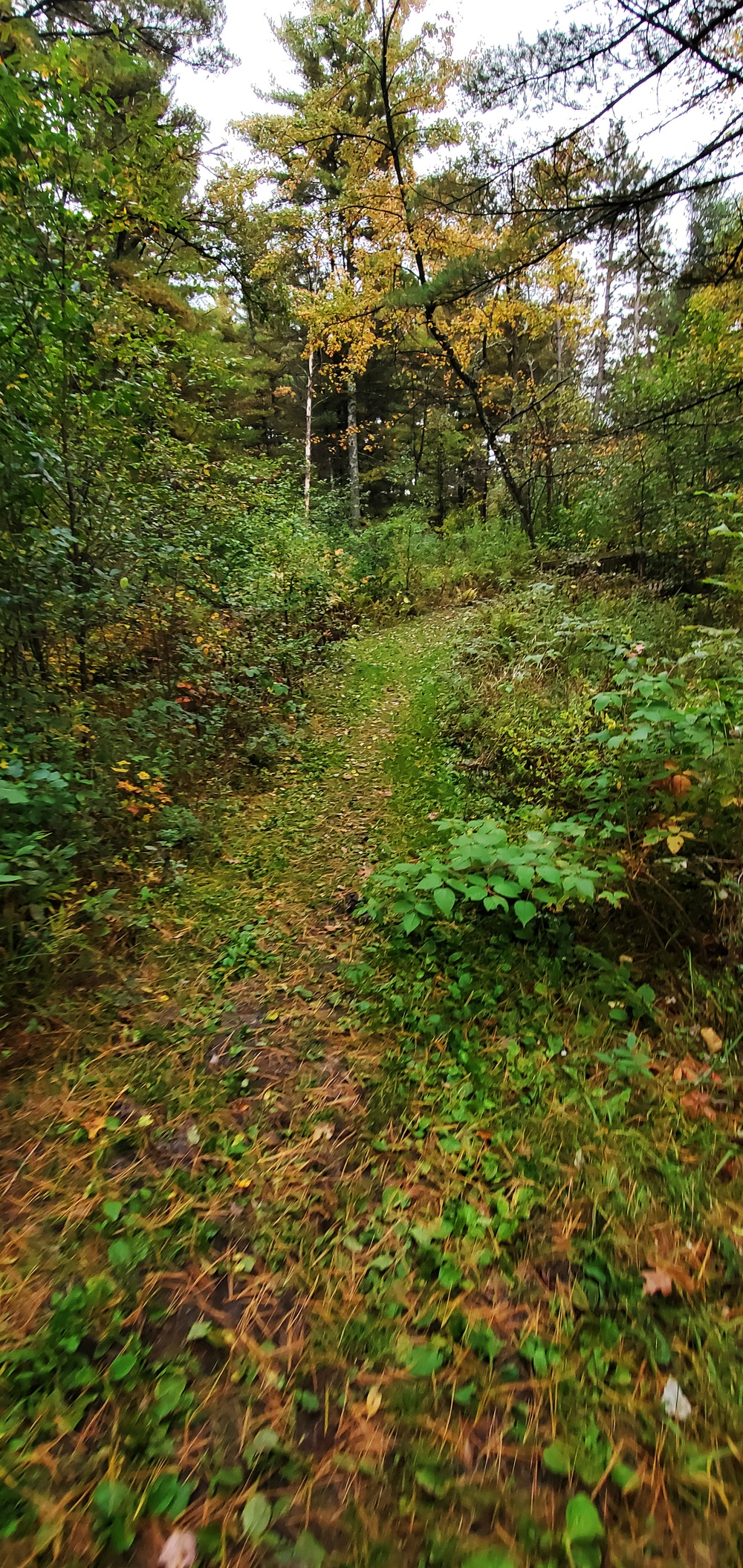 2020 Fall Views at Fort McCoy's Pine View Recreation Area