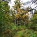 2020 Fall Views at Fort McCoy's Pine View Recreation Area