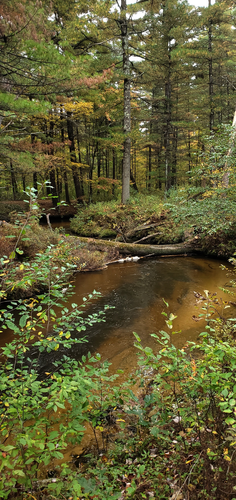 2020 Fall Views at Fort McCoy's Pine View Recreation Area