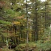 2020 Fall Views at Fort McCoy's Pine View Recreation Area