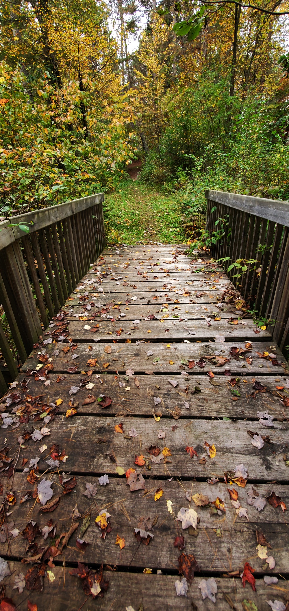 2020 Fall Views at Fort McCoy's Pine View Recreation Area