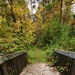 2020 Fall Views at Fort McCoy's Pine View Recreation Area