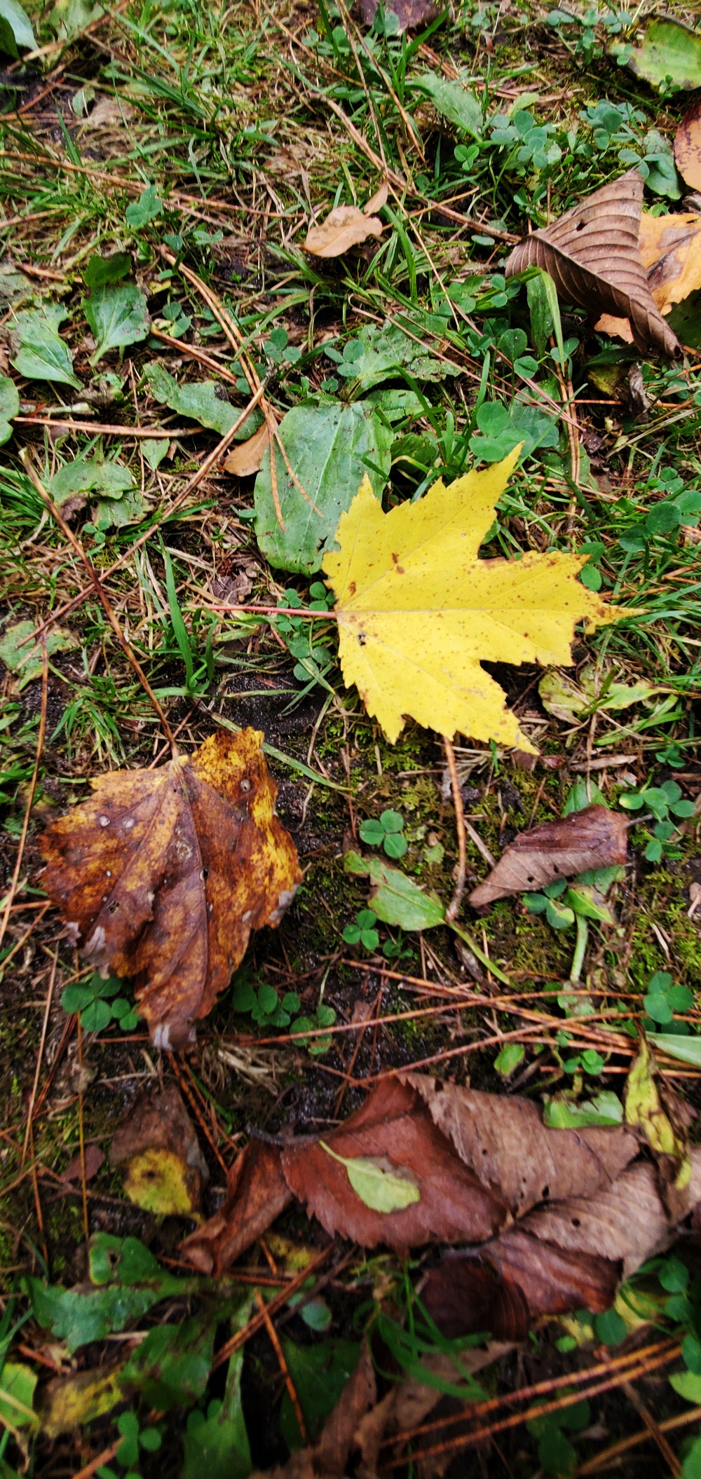 2020 Fall Views at Fort McCoy's Pine View Recreation Area