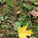 2020 Fall Views at Fort McCoy's Pine View Recreation Area