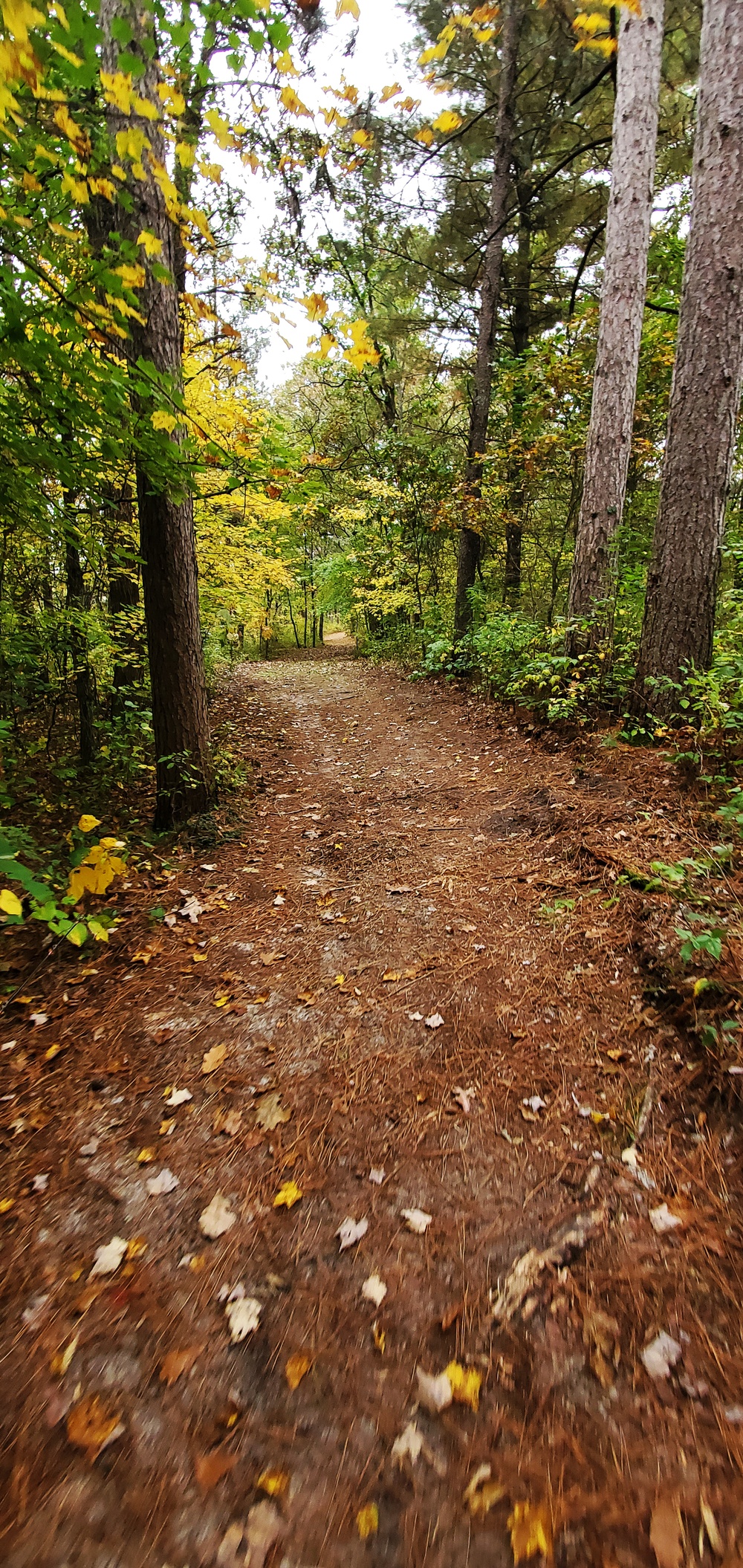 2020 Fall Views at Fort McCoy's Pine View Recreation Area