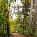 2020 Fall Views at Fort McCoy's Pine View Recreation Area