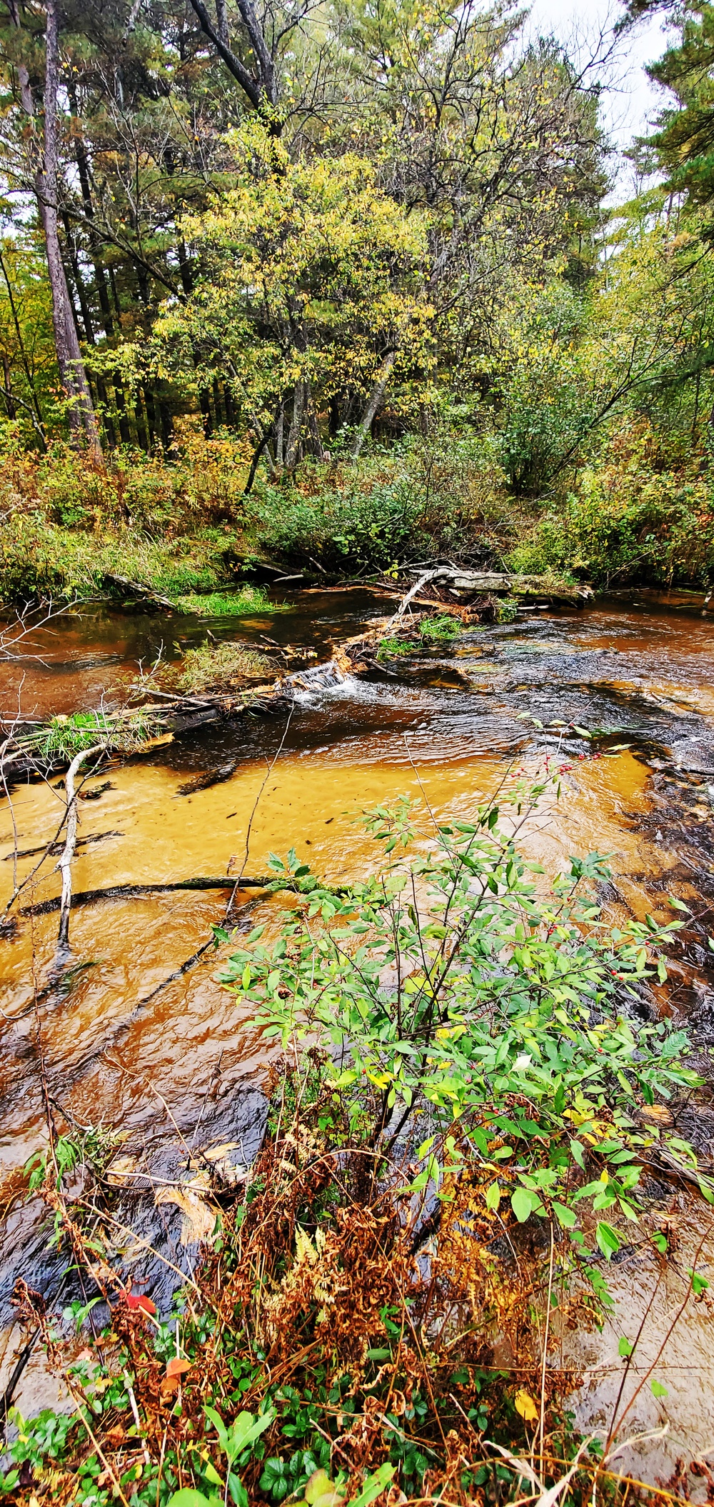 2020 Fall Views at Fort McCoy's Pine View Recreation Area