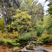 2020 Fall Views at Fort McCoy's Pine View Recreation Area