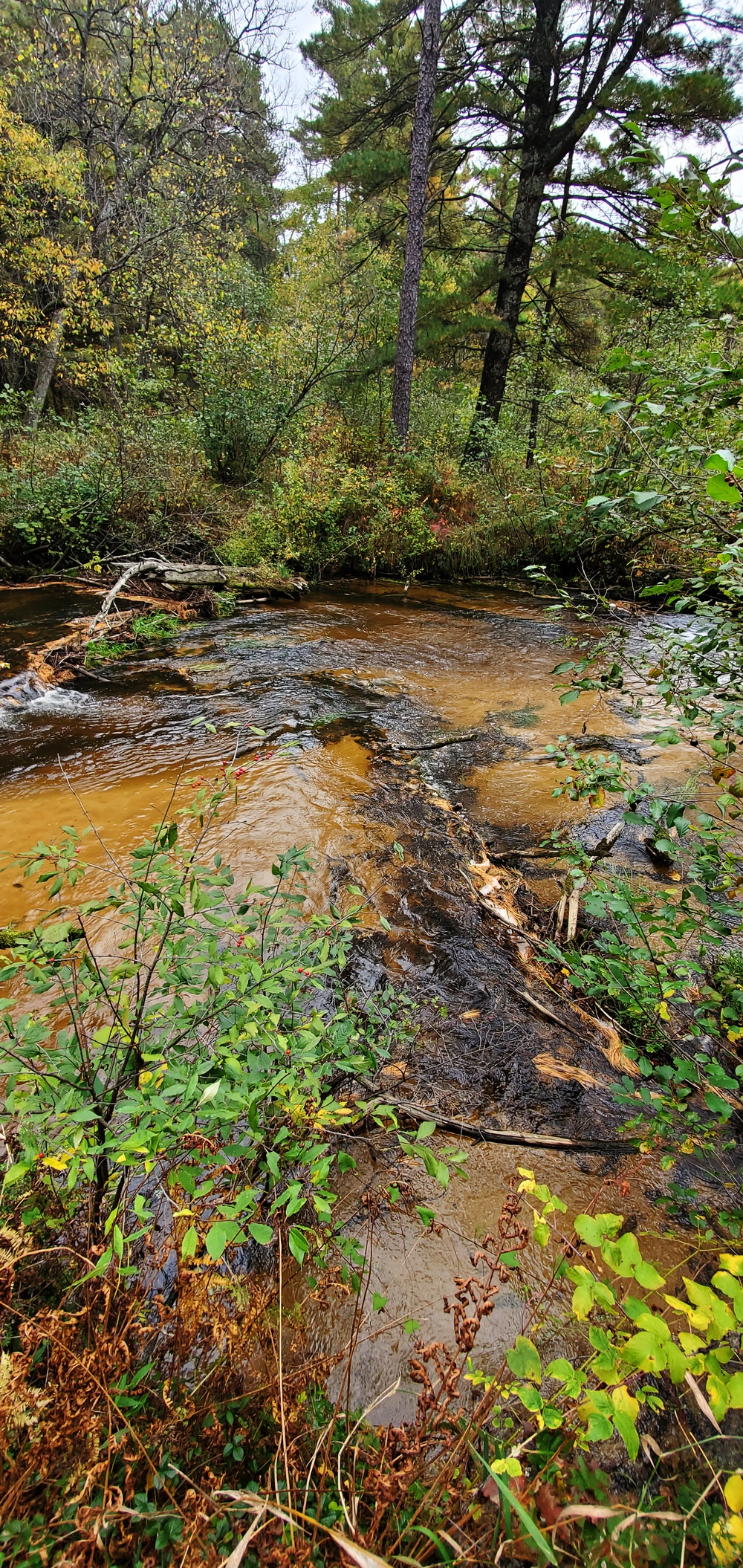 2020 Fall Views at Fort McCoy's Pine View Recreation Area