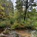2020 Fall Views at Fort McCoy's Pine View Recreation Area