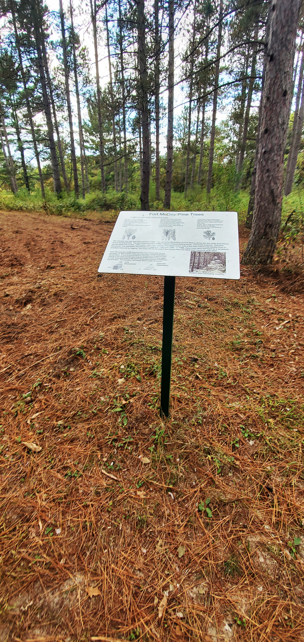 2020 Fall Views at Fort McCoy's Pine View Recreation Area