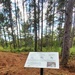 2020 Fall Views at Fort McCoy's Pine View Recreation Area