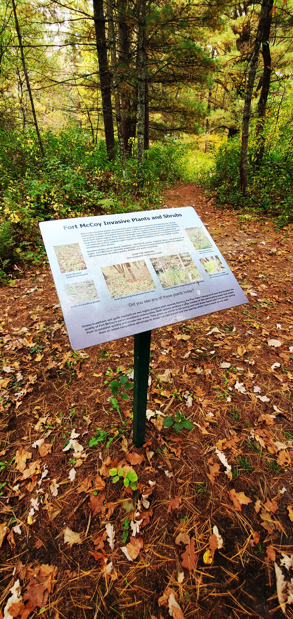 2020 Fall Views at Fort McCoy's Pine View Recreation Area