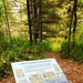 2020 Fall Views at Fort McCoy's Pine View Recreation Area
