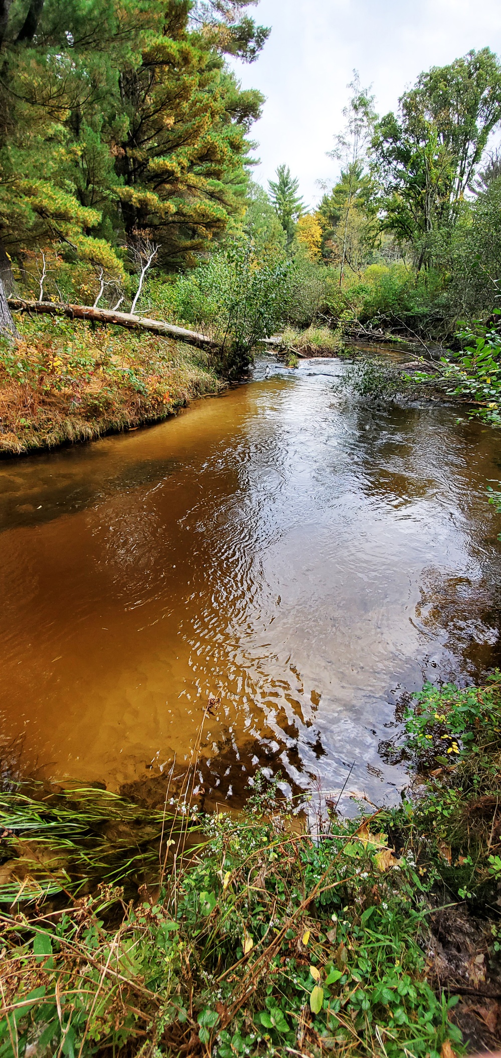 2020 Fall Views at Fort McCoy's Pine View Recreation Area