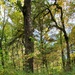 2020 Fall Views at Fort McCoy's Pine View Recreation Area