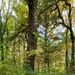 2020 Fall Views at Fort McCoy's Pine View Recreation Area