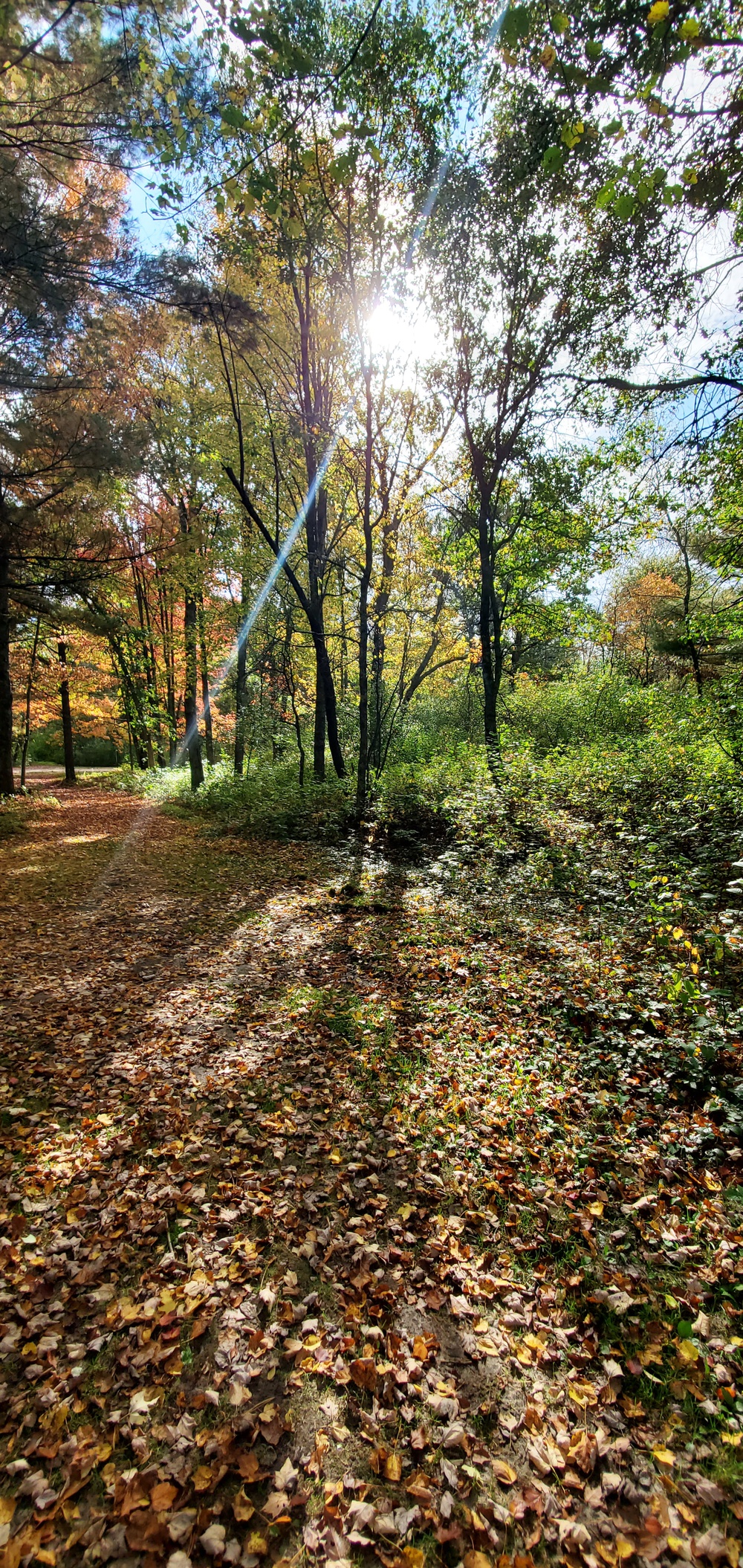 2020 Fall Views at Fort McCoy's Pine View Recreation Area