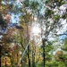 2020 Fall Views at Fort McCoy's Pine View Recreation Area