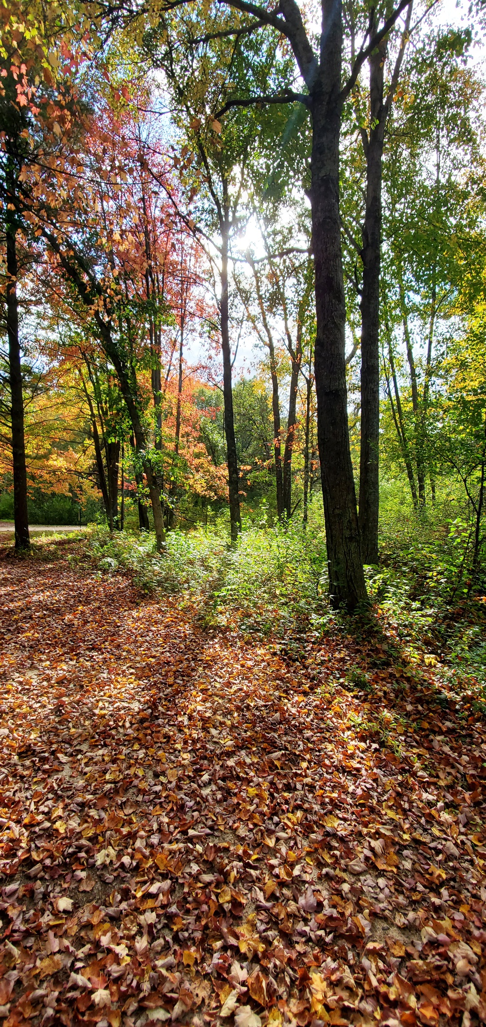 2020 Fall Views at Fort McCoy's Pine View Recreation Area