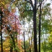 2020 Fall Views at Fort McCoy's Pine View Recreation Area