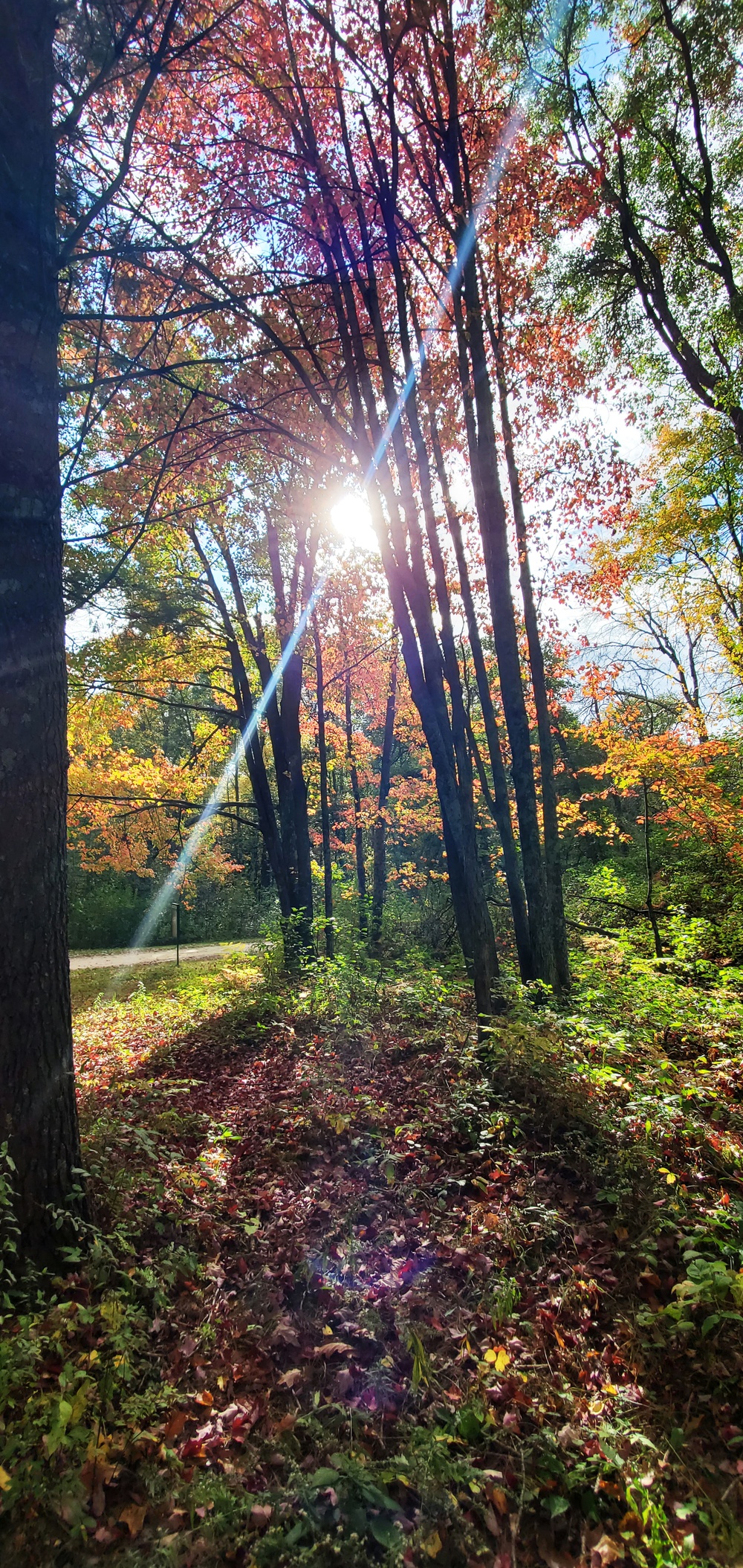 2020 Fall Views at Fort McCoy's Pine View Recreation Area